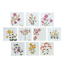 . PN320 Ensemble de 10 cartes/enveloppes avec fleurs