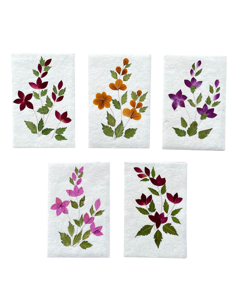 TH018 - Lot de 10 doubles avec enveloppes