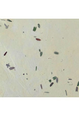 TH864 - Mulberry paper with fibres and petals
