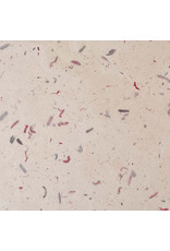 TH864 - Mulberry paper with fibres and petals