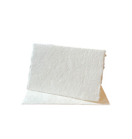 A6012 - Set of 10 double cards with envelopes