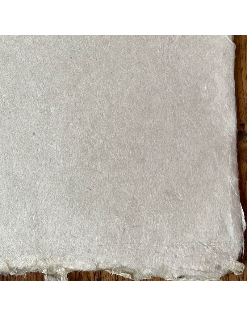 BT044 - Bhutanese paper with mitsumata fibres