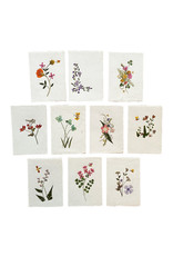 Set 10 cards/envelopes floral decoration -