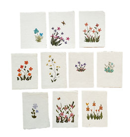 PN221 Set 10 cards/envelopes floral decoration