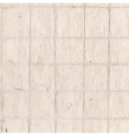 NE441 - Lokta papier met hennepdraad