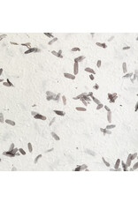 Mulberry paper with tamarind leaves