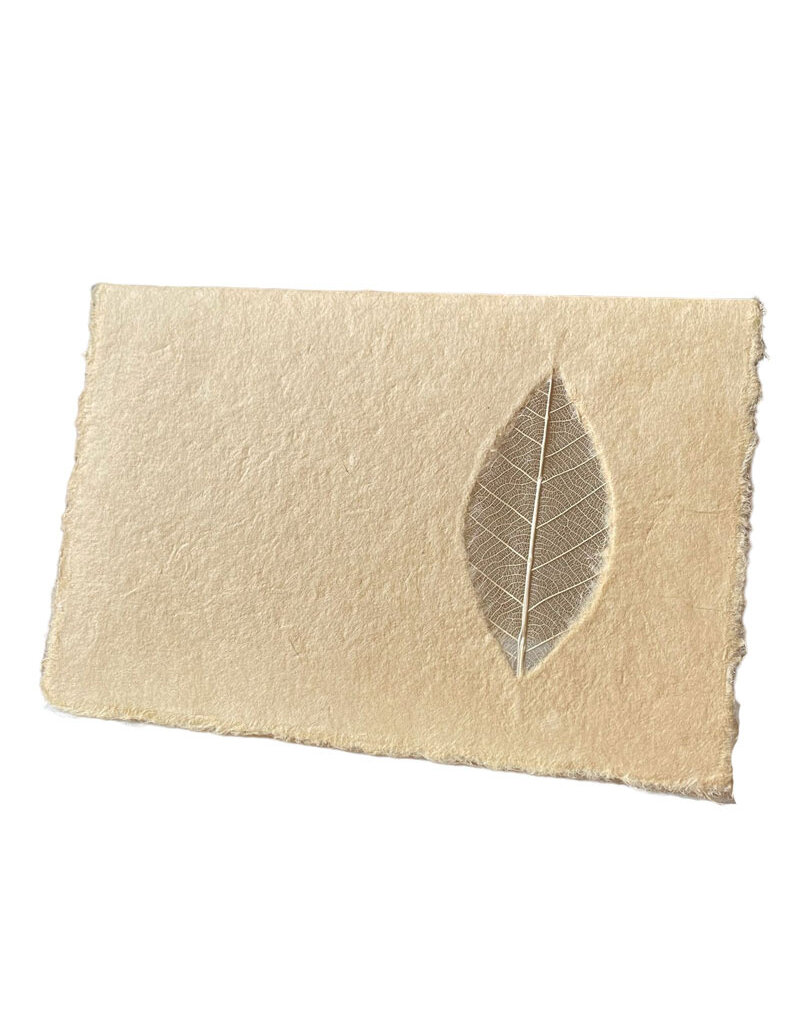 Set of  double cards with grain leaf, with envelopes