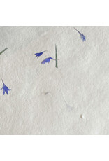 Cottonpaper with cornflowers, 125 gsm.