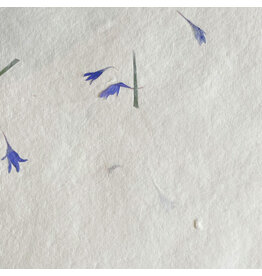AE166 Papier coton avec les bleuets