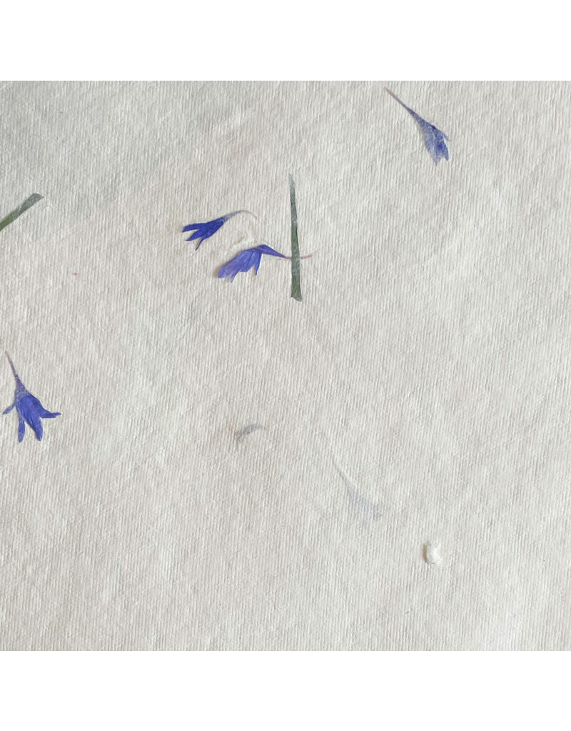Baumwollpapier mit Kornblumen, 125 Gr.