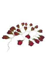 . TH147 - String of lights with roses