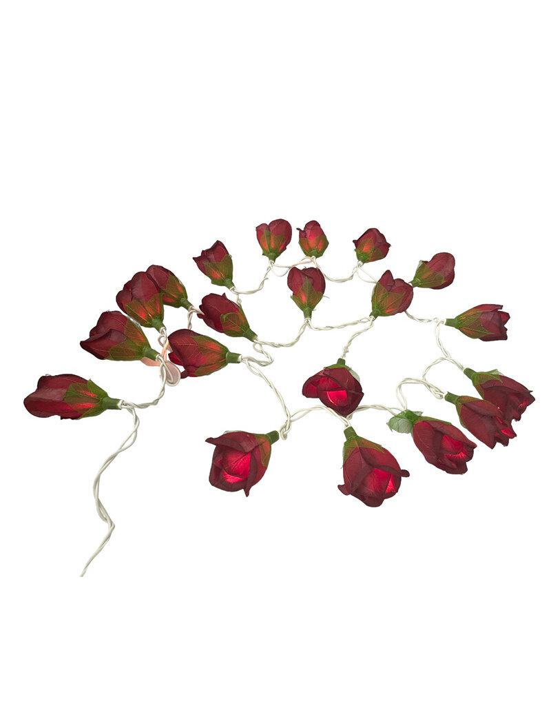 . TH147 - String of lights with roses