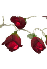 . String light roses