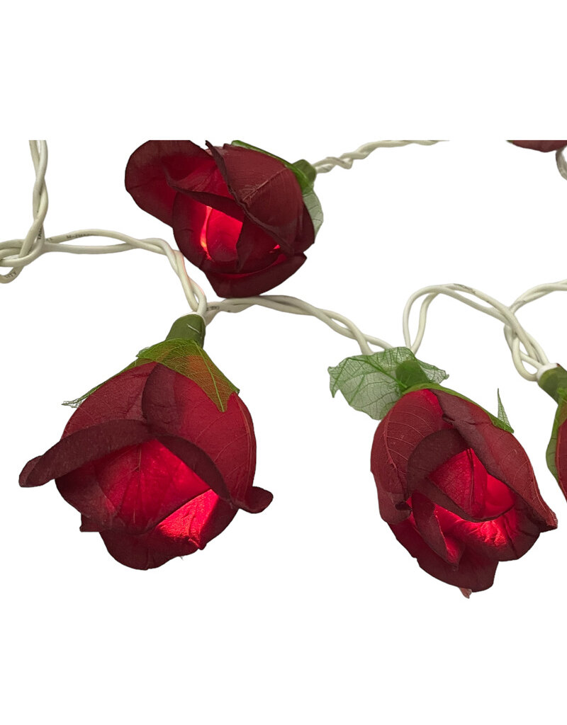 . String light roses