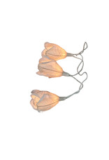. String light roses