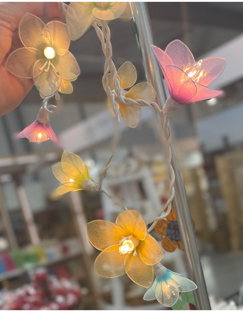 .  Lichterkette Margeriten