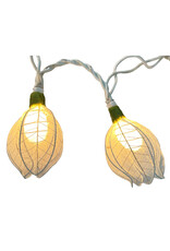. String light roses