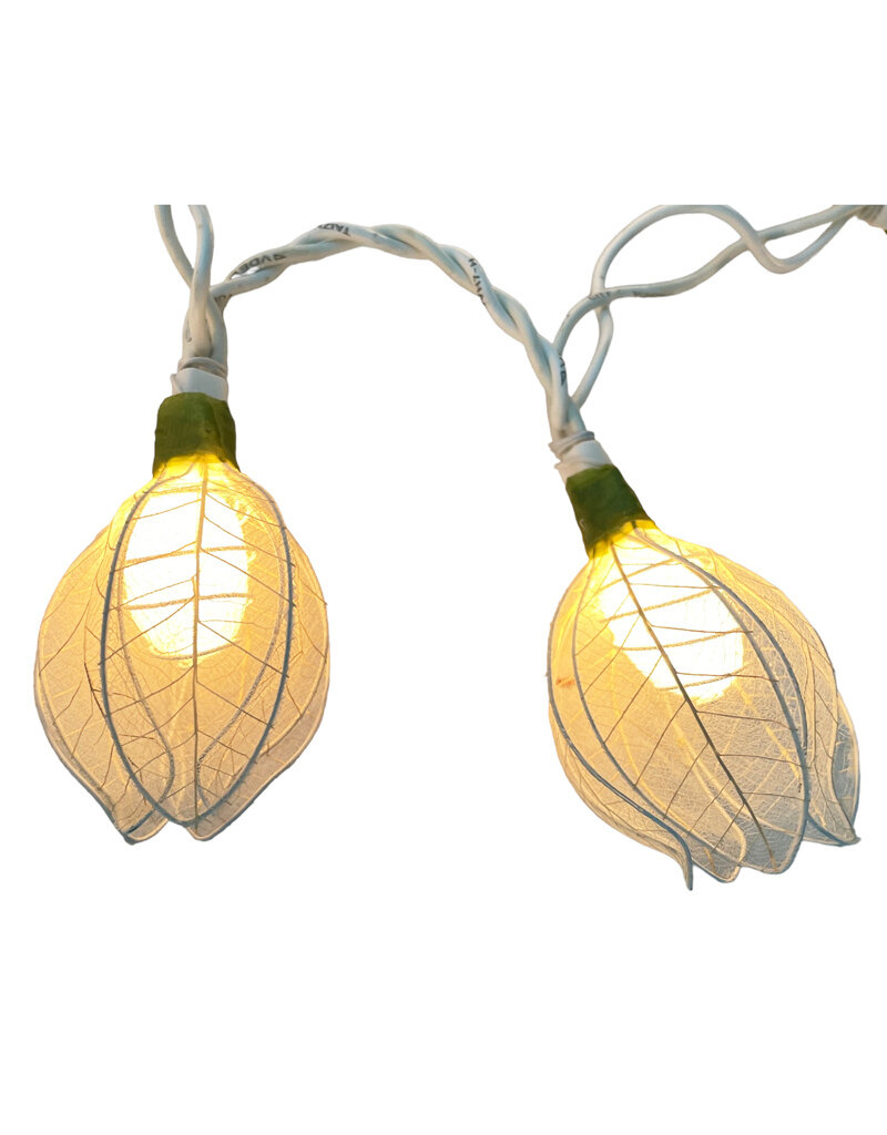 . String light roses