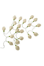 . String light roses
