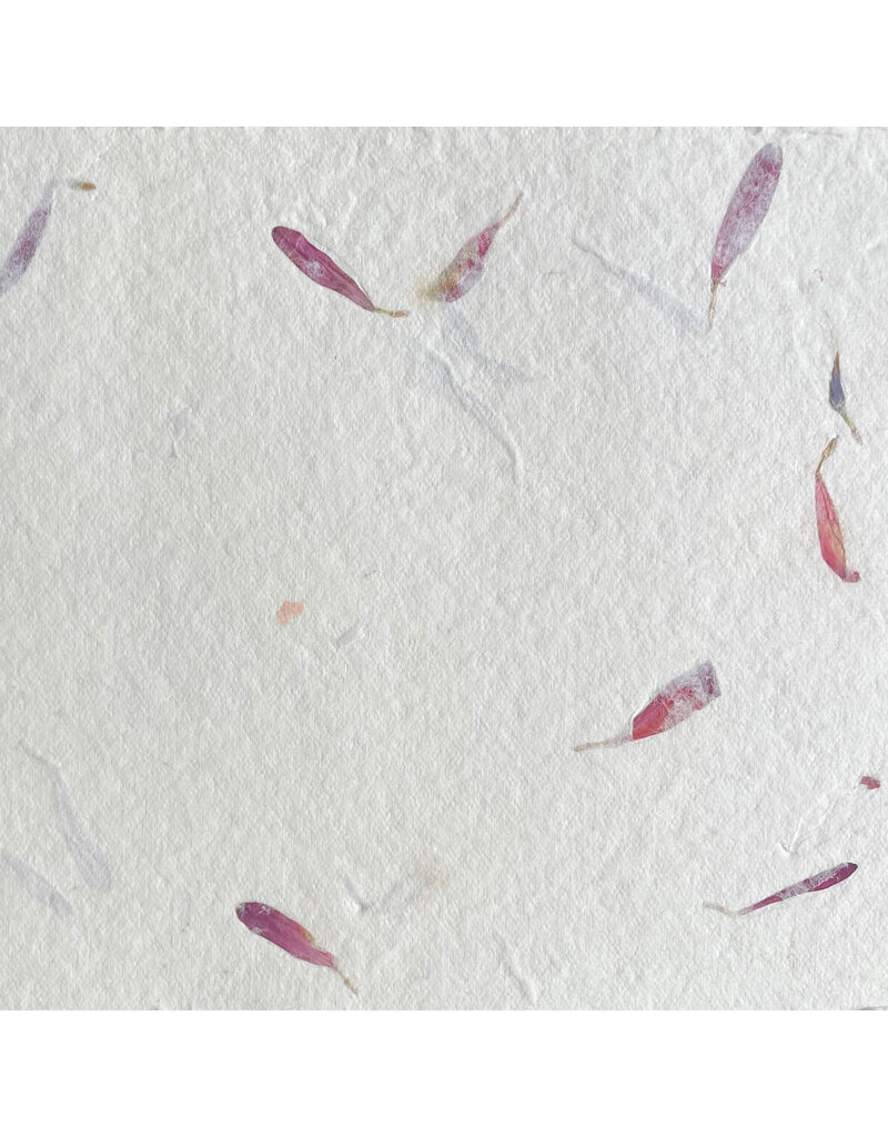 AE168 - Baumwoll-Papier mit Blumenblätter