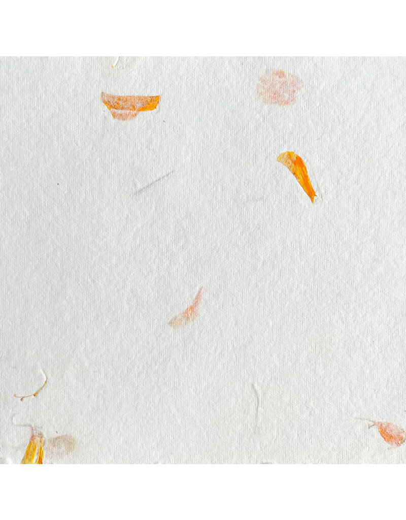 Cotton paper with flower petals