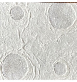 TH767 - Mulberry paper with circles