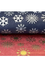NE888 - Lokta paper with snowflake