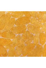 Papier de mûrier avec des feuilles de chongco