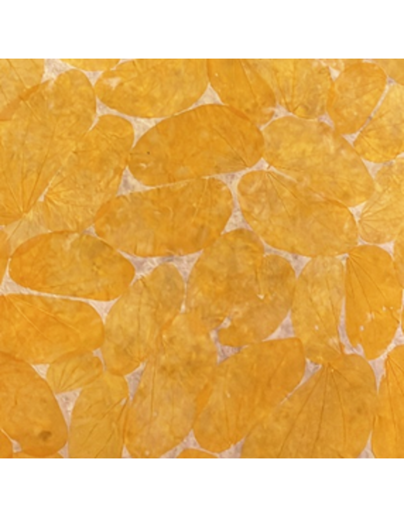 Papier de mûrier avec des feuilles de chongco