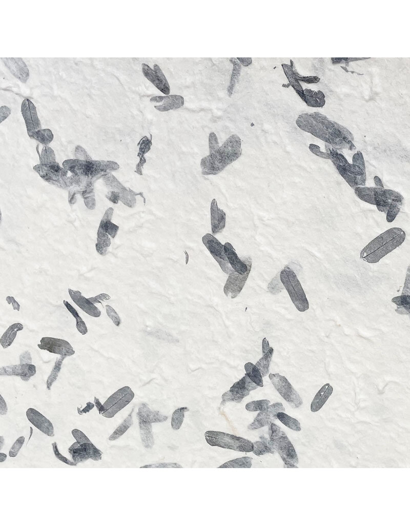 TH636 - Mulberry paper with tamarind leaves