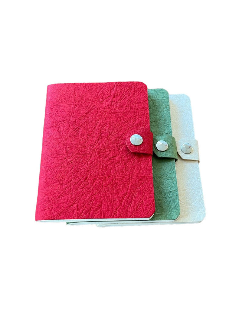 Journal papier de cuir