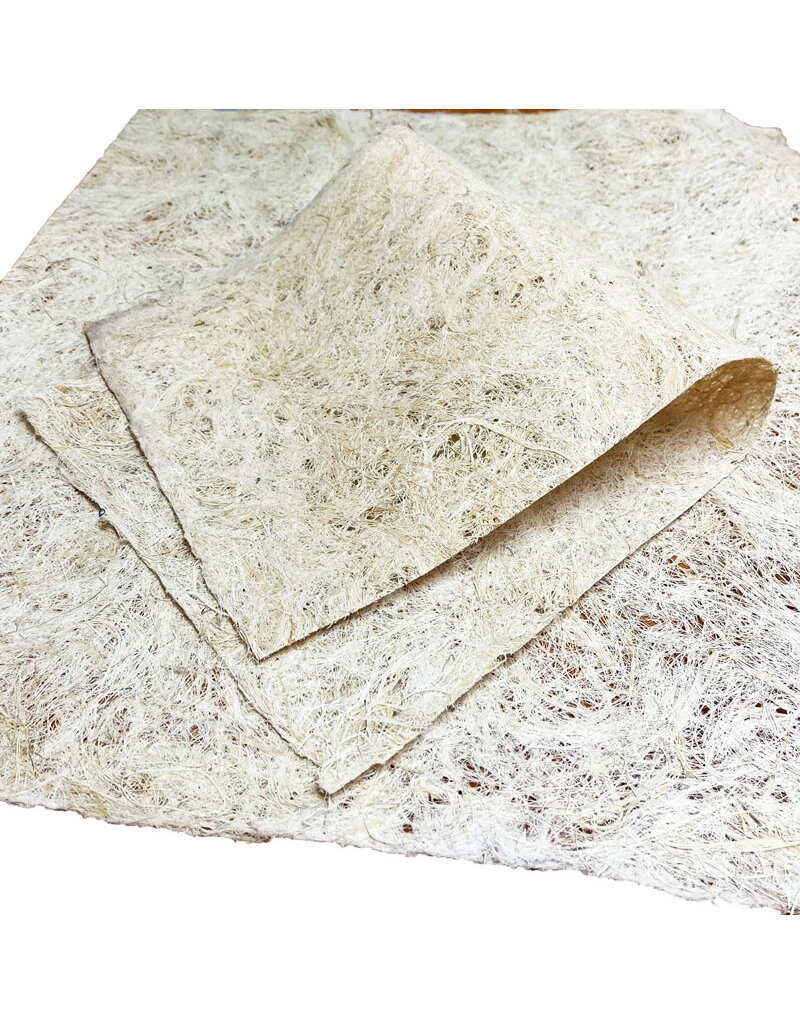 NE437 - Lokta-mais papier