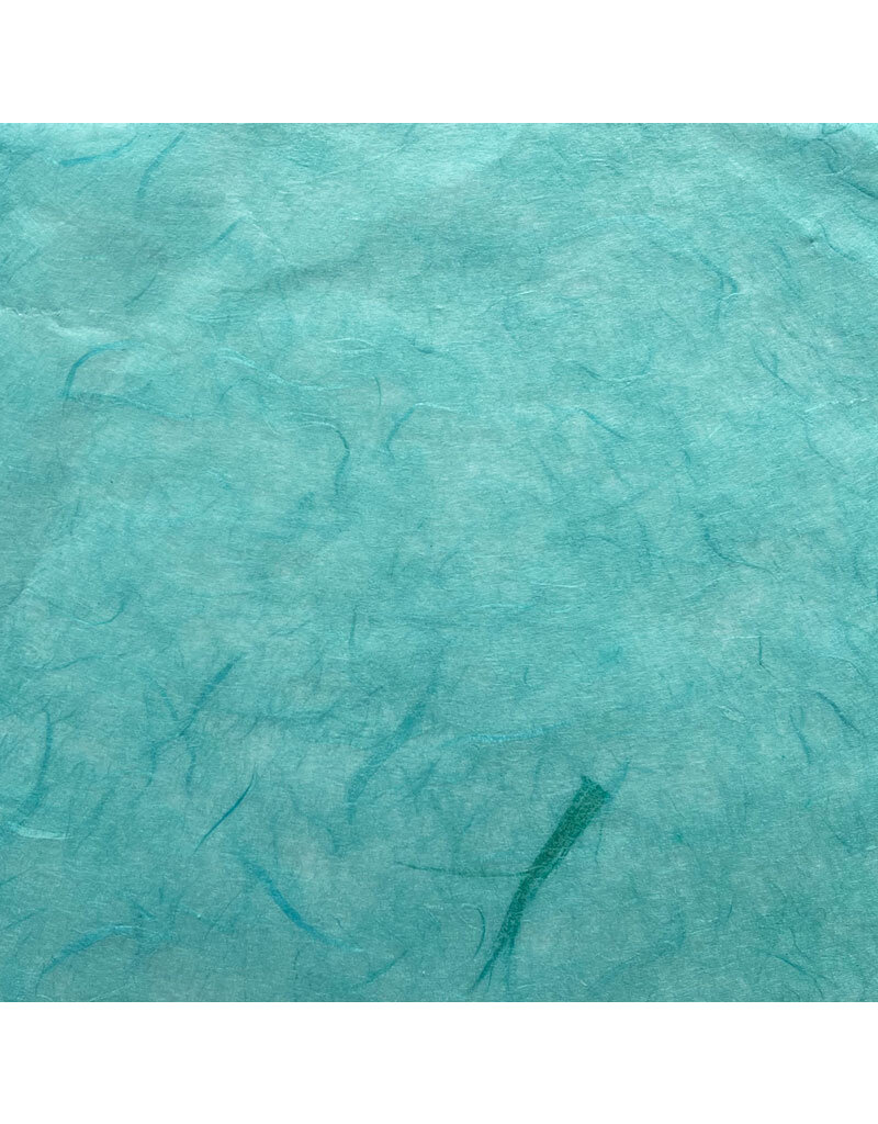 TH9951 - Papier de mûrier kozo, 25 g.