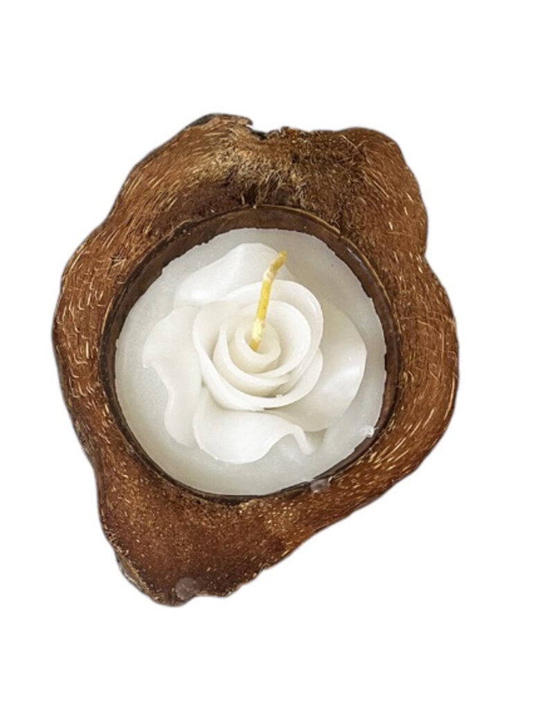 Half a coconut with (scented) candle, 4 colors.