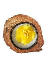 La moitie de noix de coco avec une bougie (parfumée), 4 couleurs.