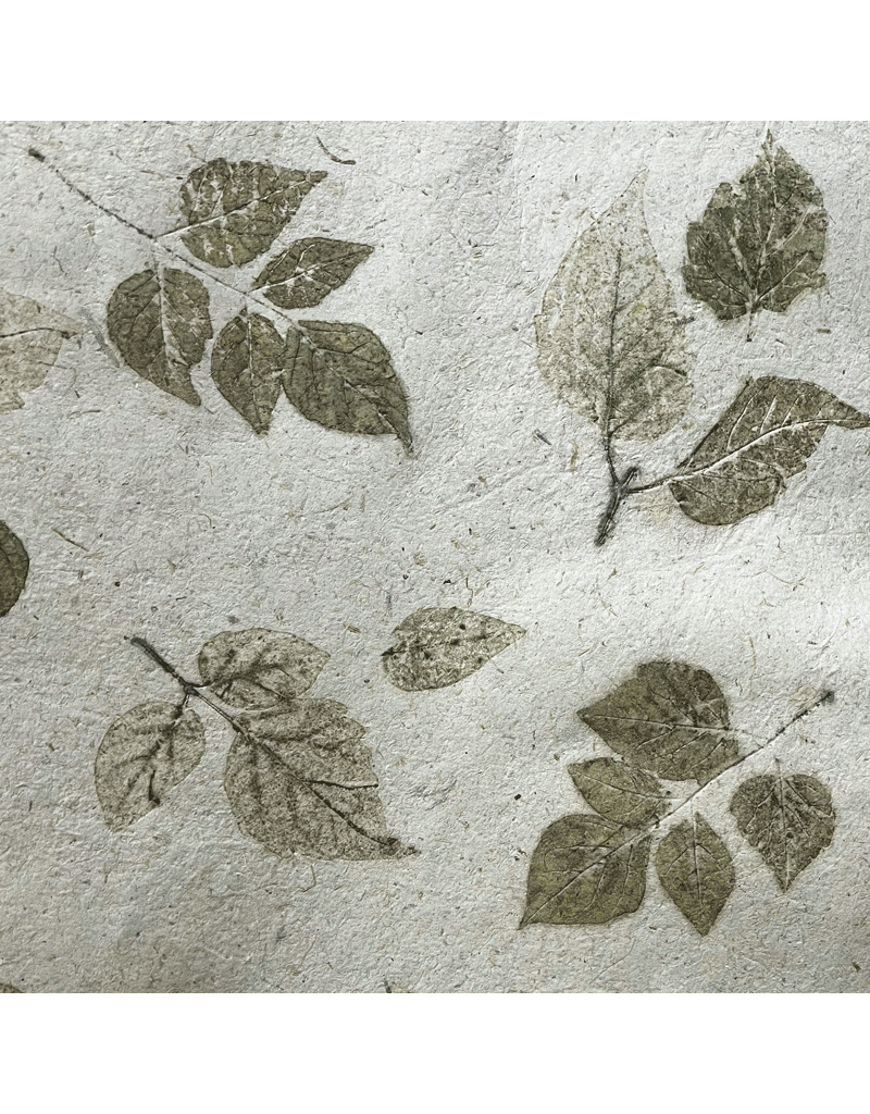 Mulberrypaper with leaves