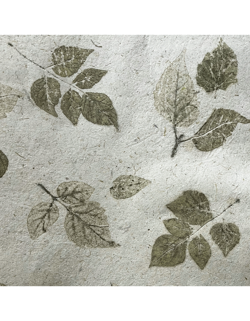 Mulberrypapier met  bladeren