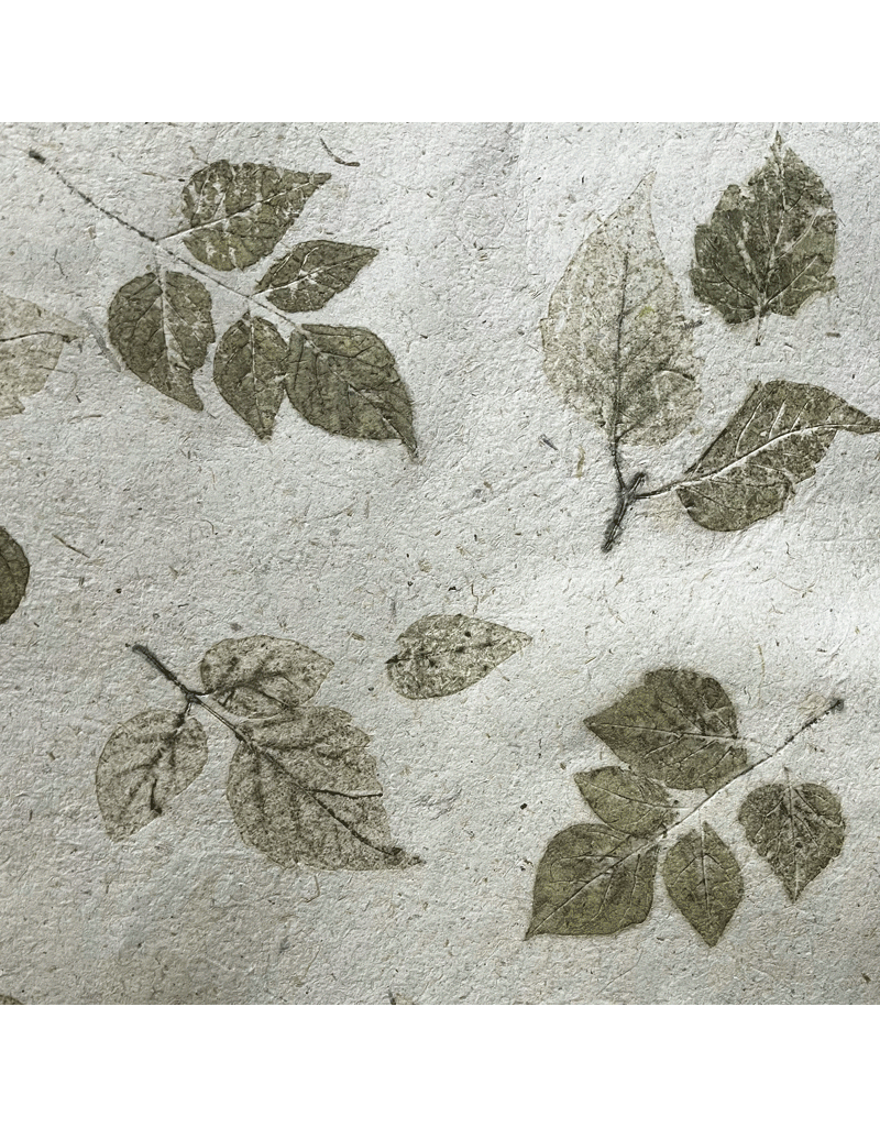 TH847 - Mulberry-mais papier met  blad print