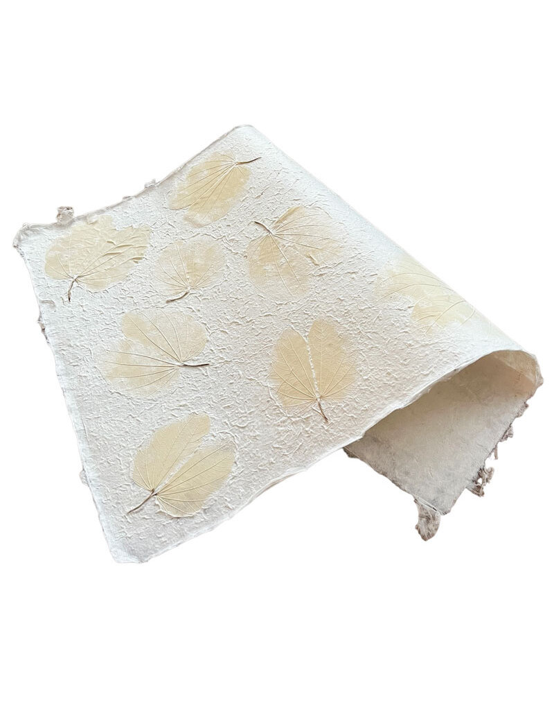 Papier de mûrier  avec des feuilles de chongco
