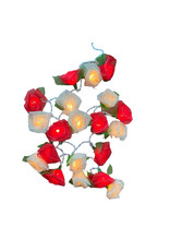 TH014 - Guirlande lumineuse avec fleurs