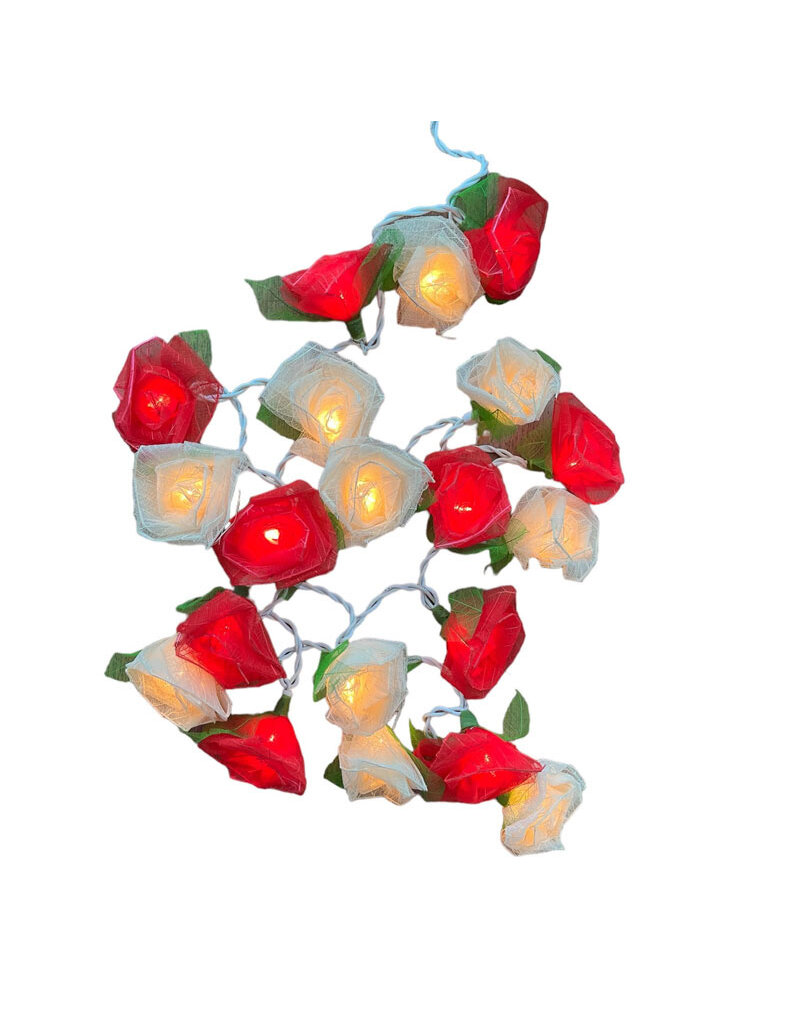 TH014 - String lights with flowers