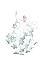 .  Lichterkette Margeriten