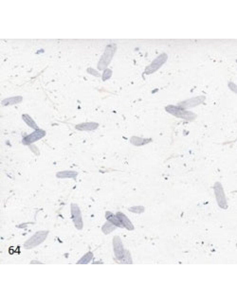 TH866 - Mulberry paper with tamarind leaves