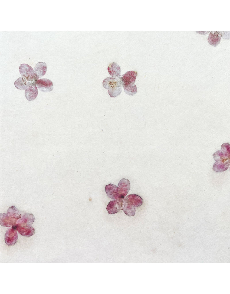 Gampi paper with flowers