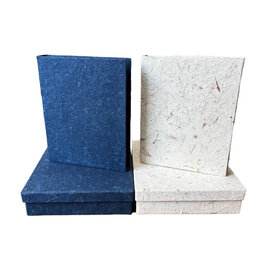 TH321 - Ensemble d'une boîte et d'un registre, banane