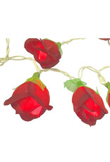 . String light roses