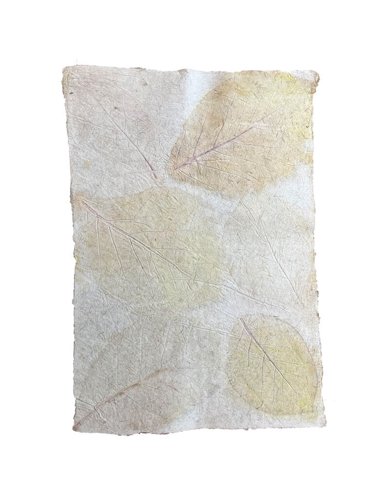 Mulberrypapier met teak bladeren