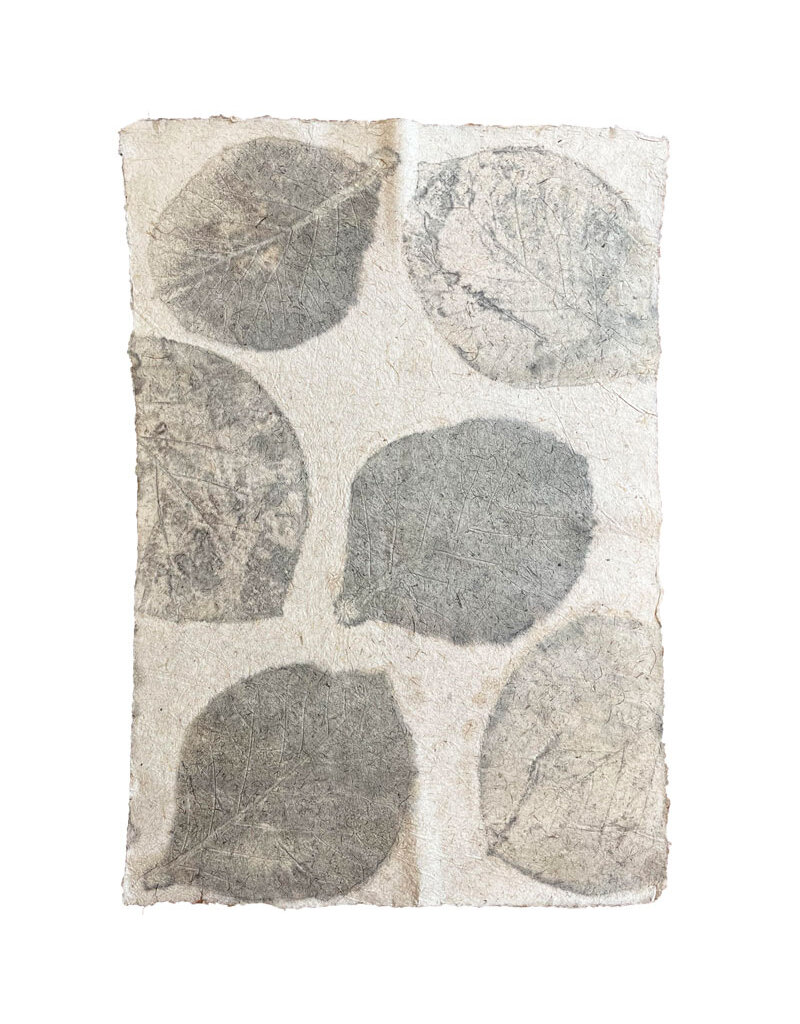Mulberrypaper withteak leaves