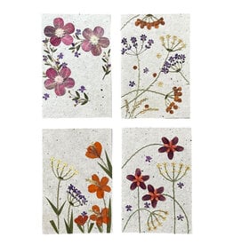 . PN310 Lot de 8 cartes/enveloppes avec des fleurs