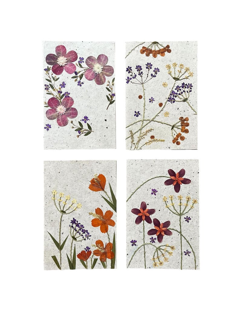 . Lot de 8 cartes/enveloppes avec des fleurs